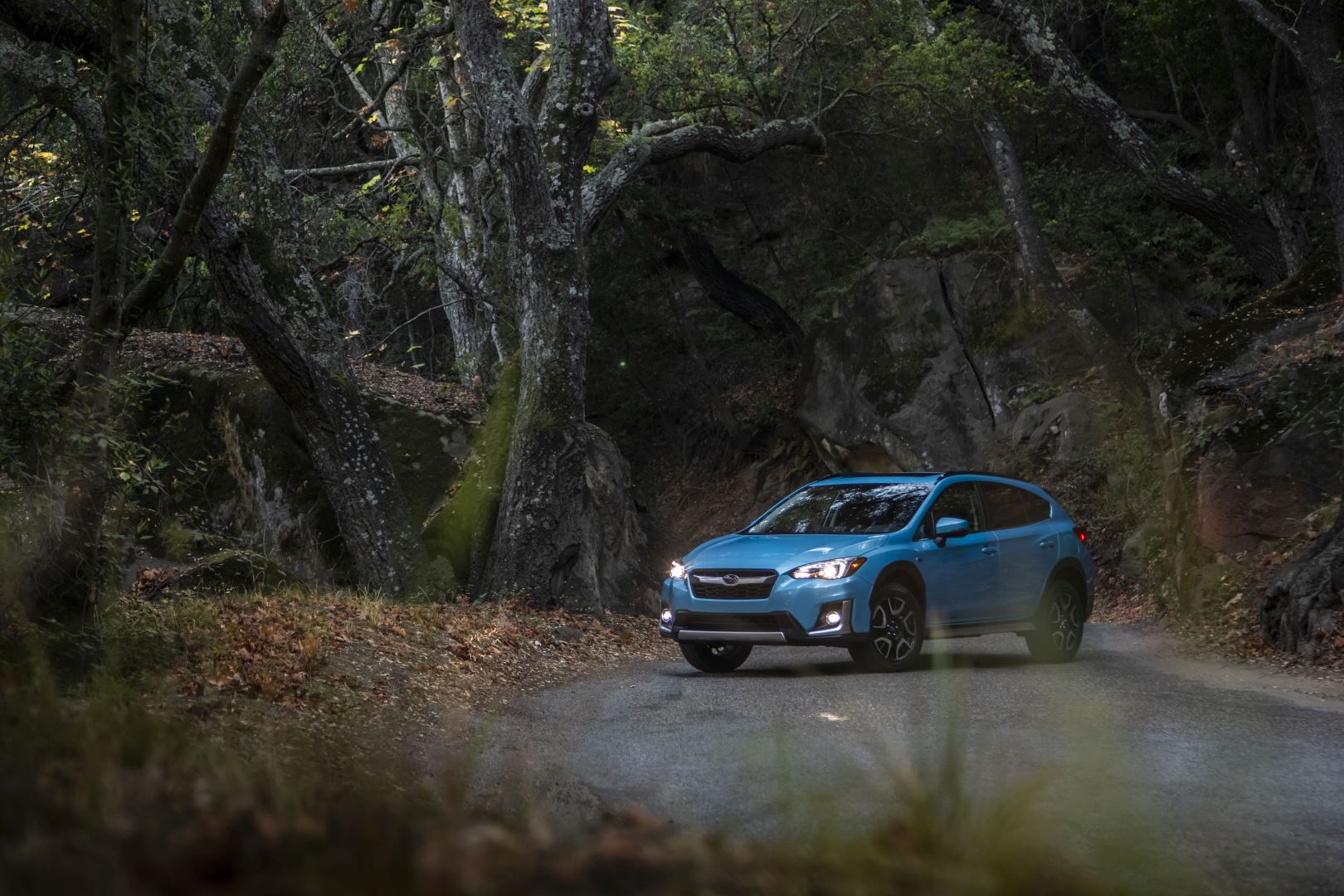 Subaru Crosstrek photo 51