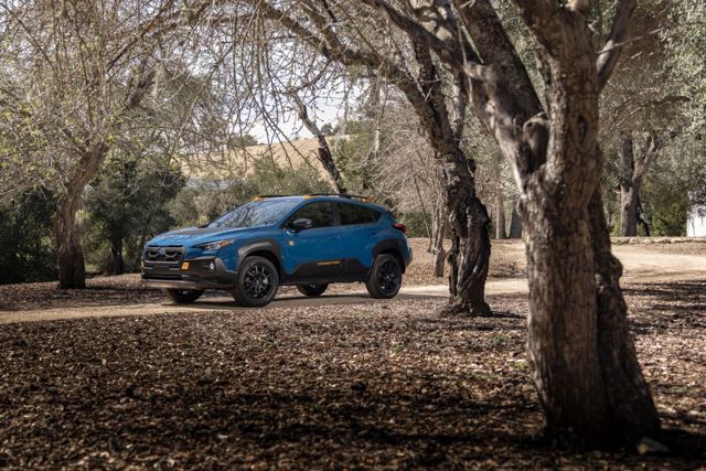 Subaru Crosstrek photo 11