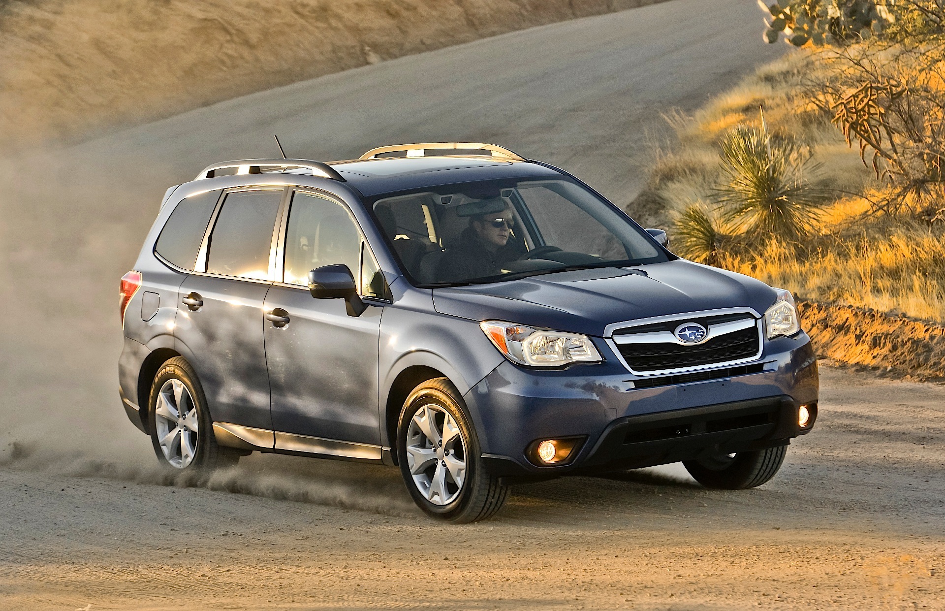 Subaru Forester photo 108