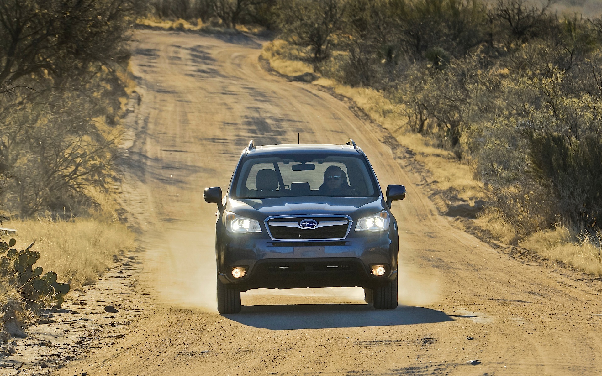 Subaru Forester photo 111