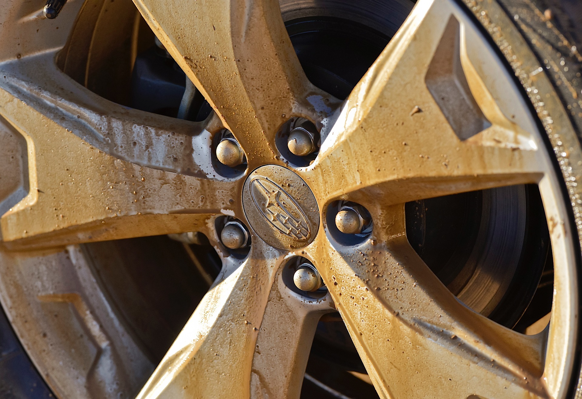 Subaru Forester photo 124