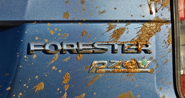 Subaru Forester foto 126