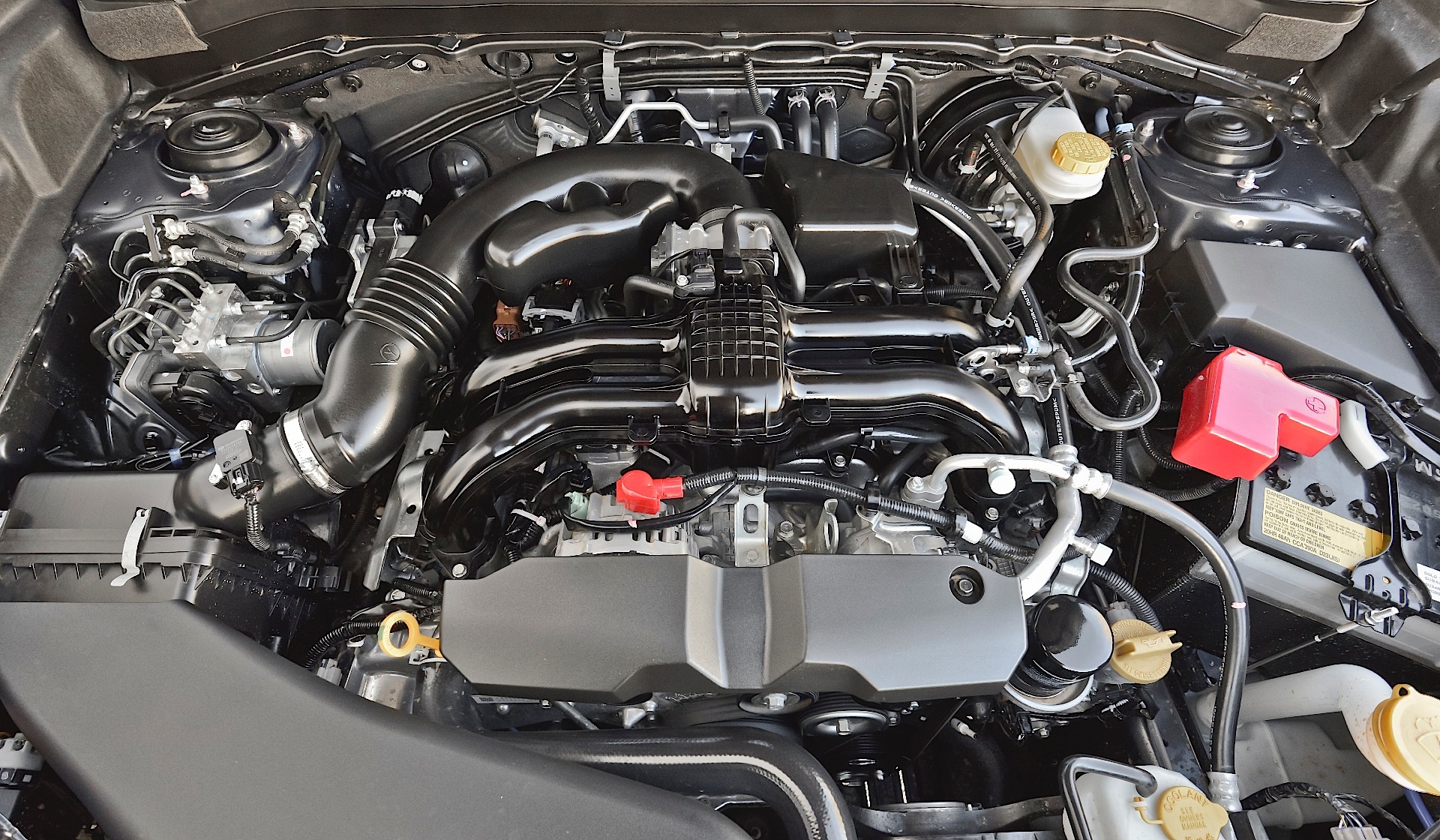 Subaru Forester photo 128