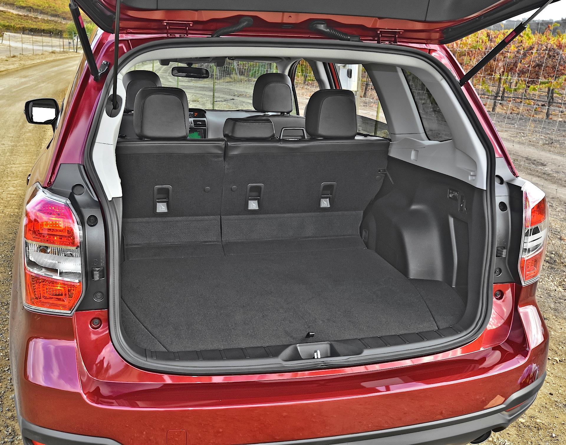 Subaru Forester photo 159