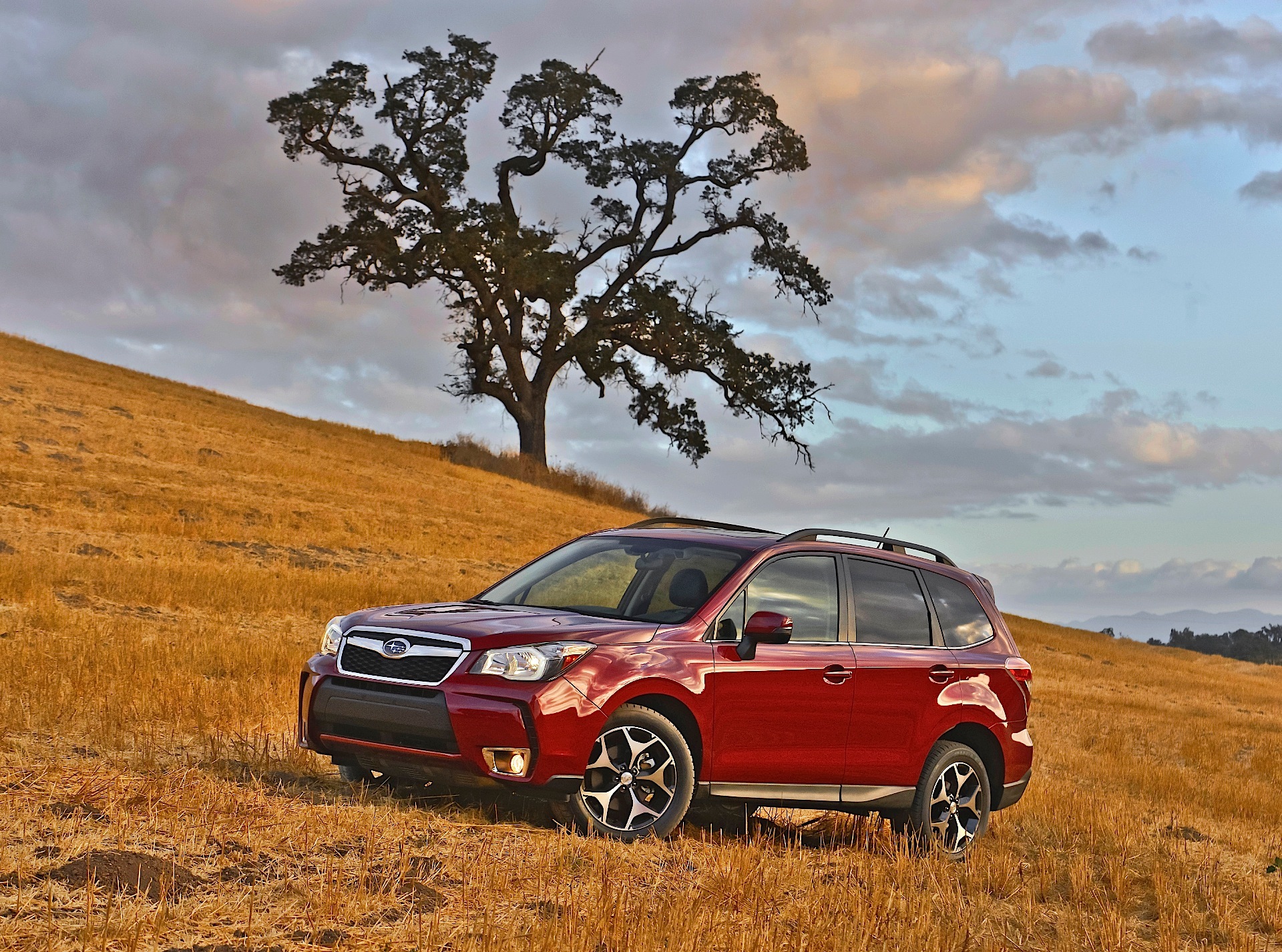 Subaru Forester photo 22