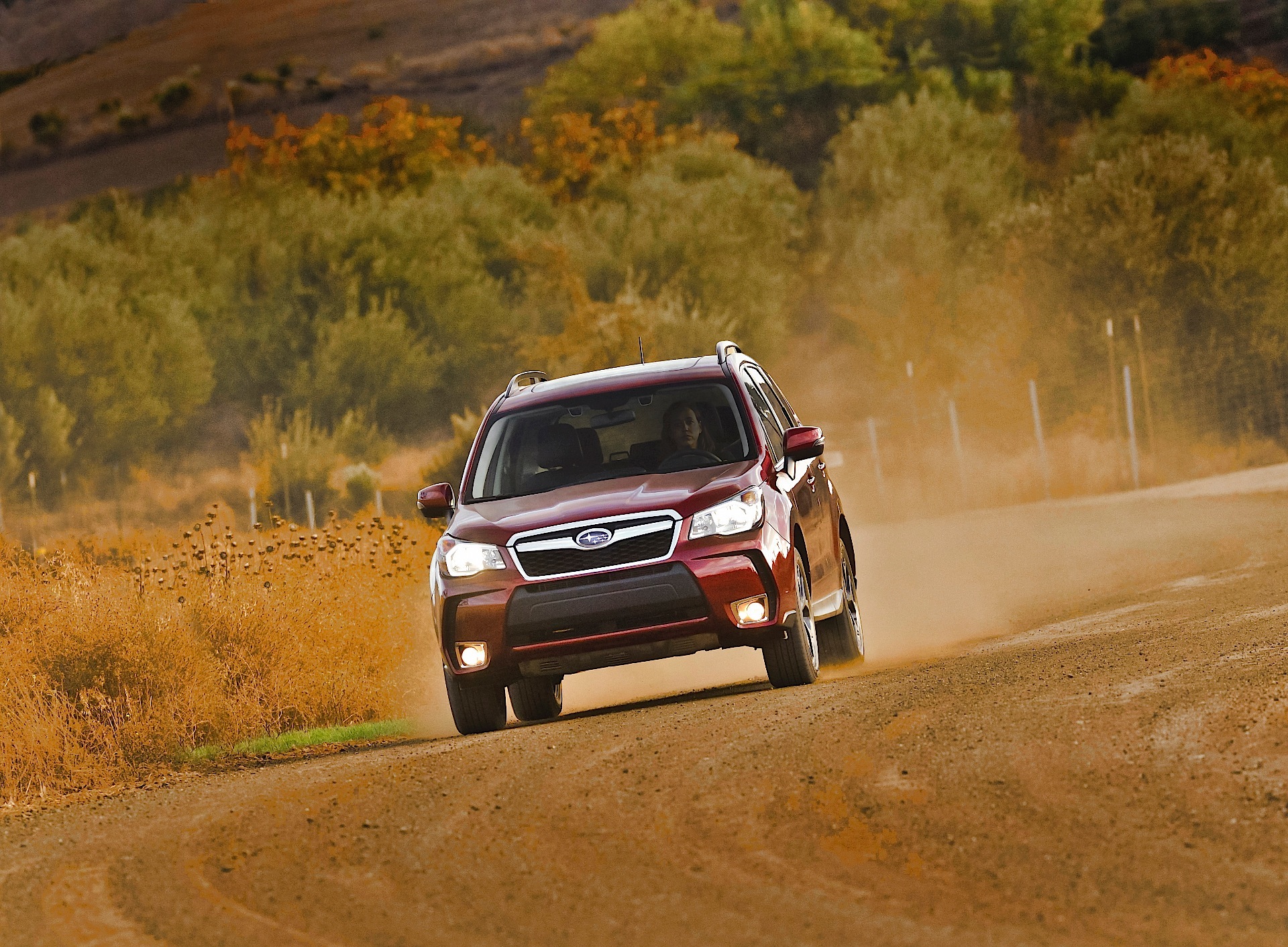 Subaru Forester photo 24