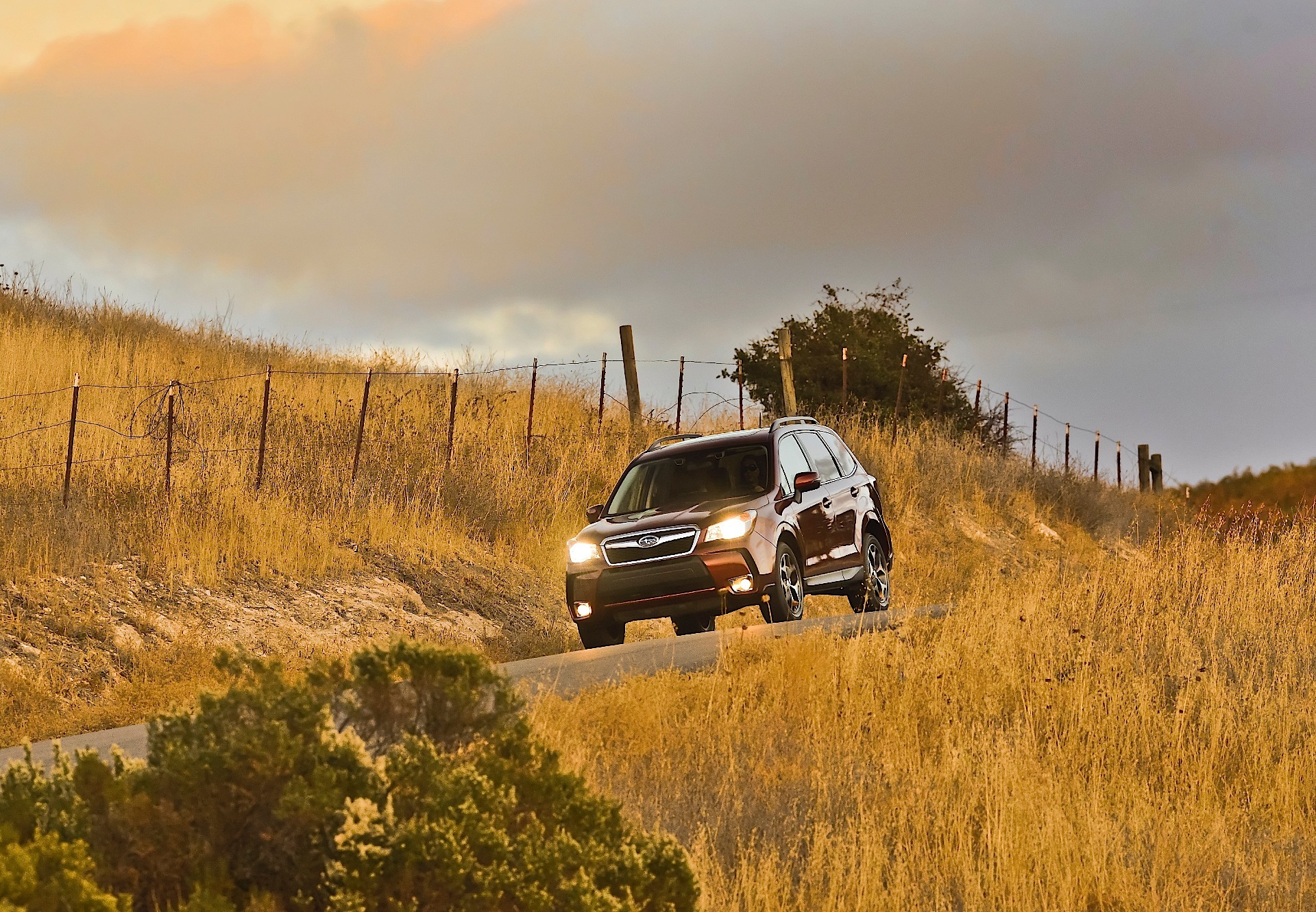 Subaru Forester photo 37
