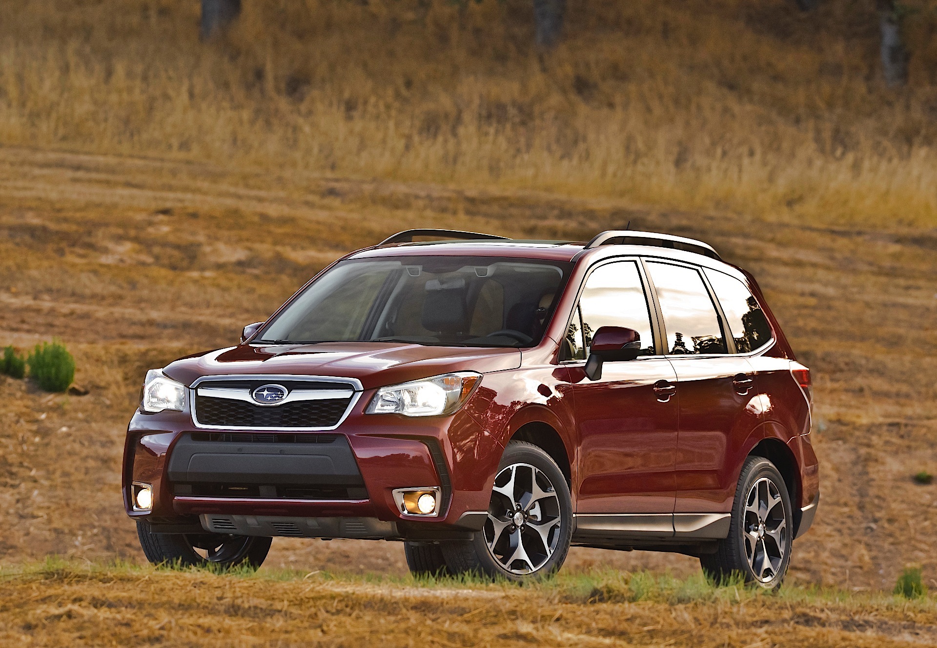 Subaru Forester photo 45