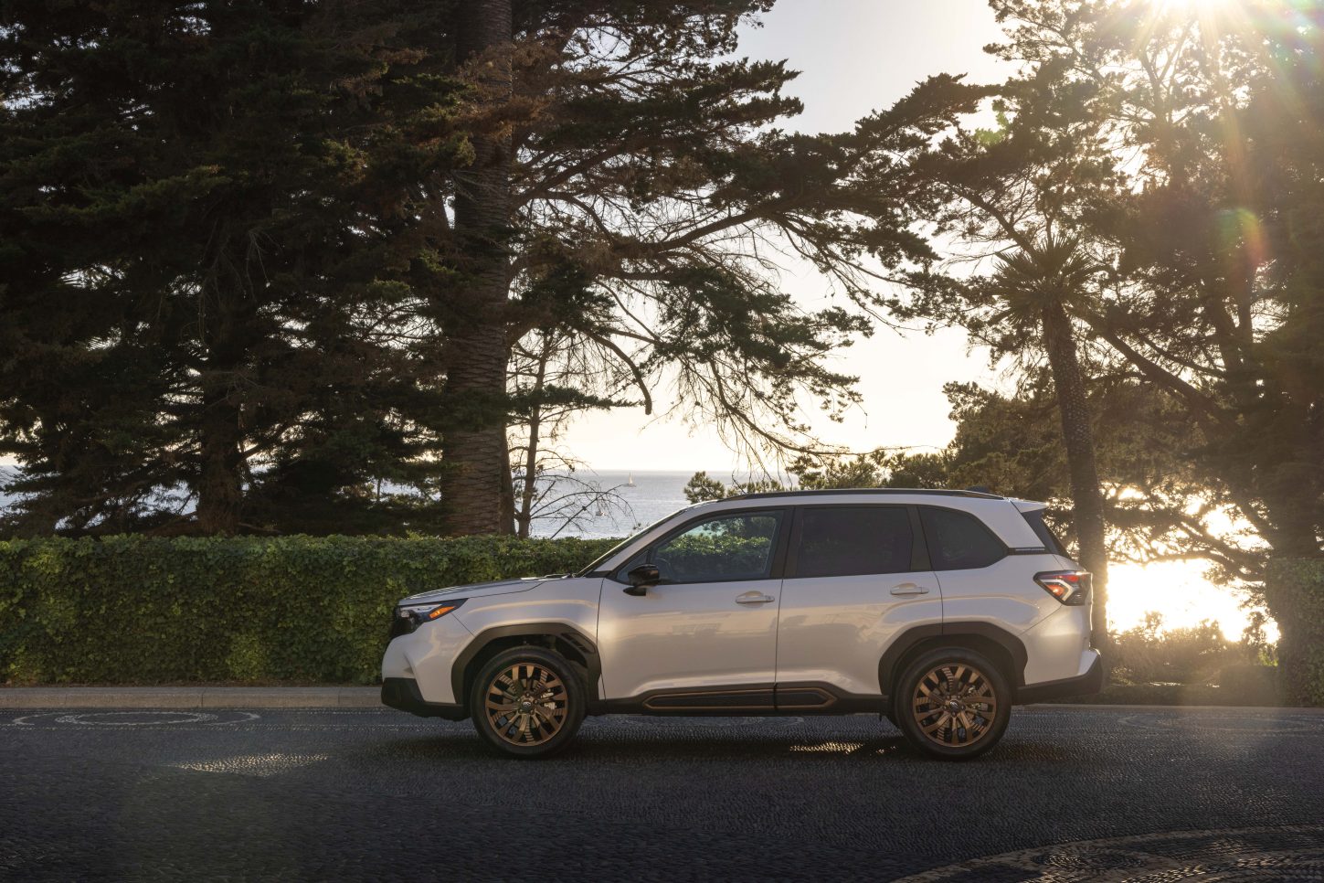 Subaru Forester photo 19