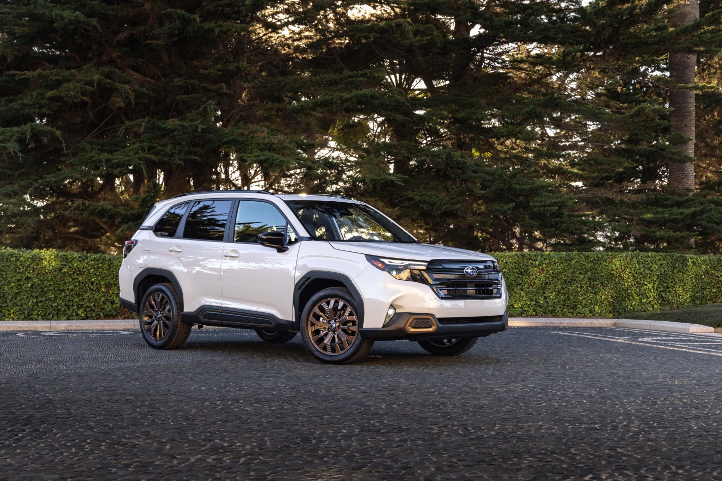 Subaru Forester photo 22