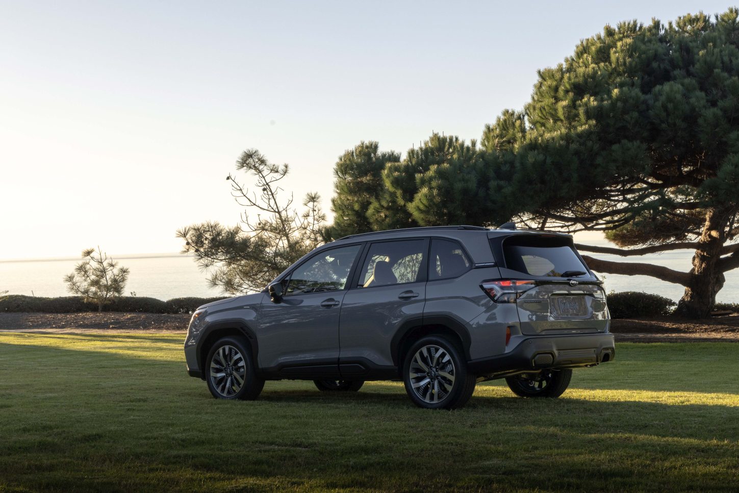 Subaru Forester photo 48