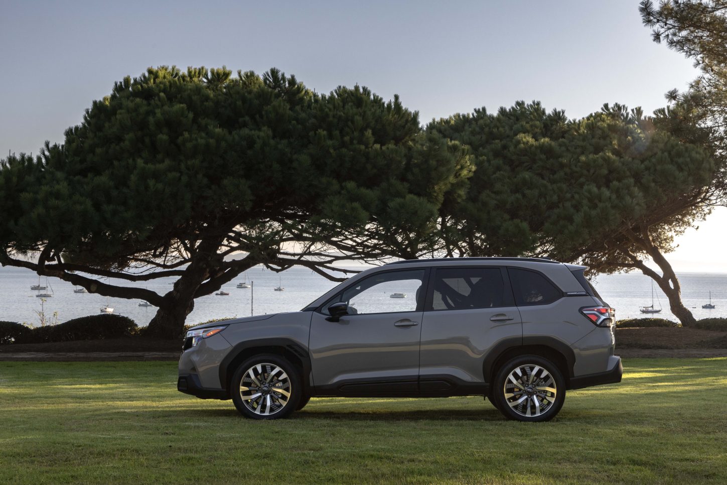 Subaru Forester photo 53