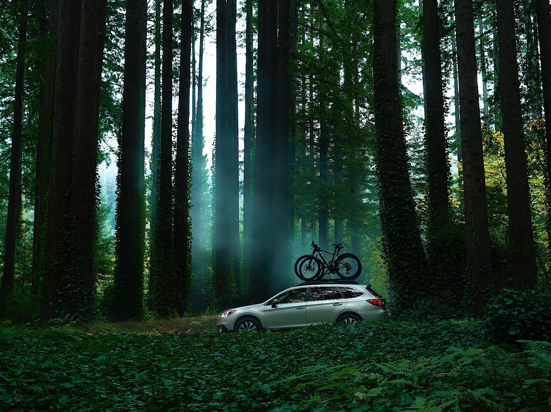 Subaru Outback photo 10