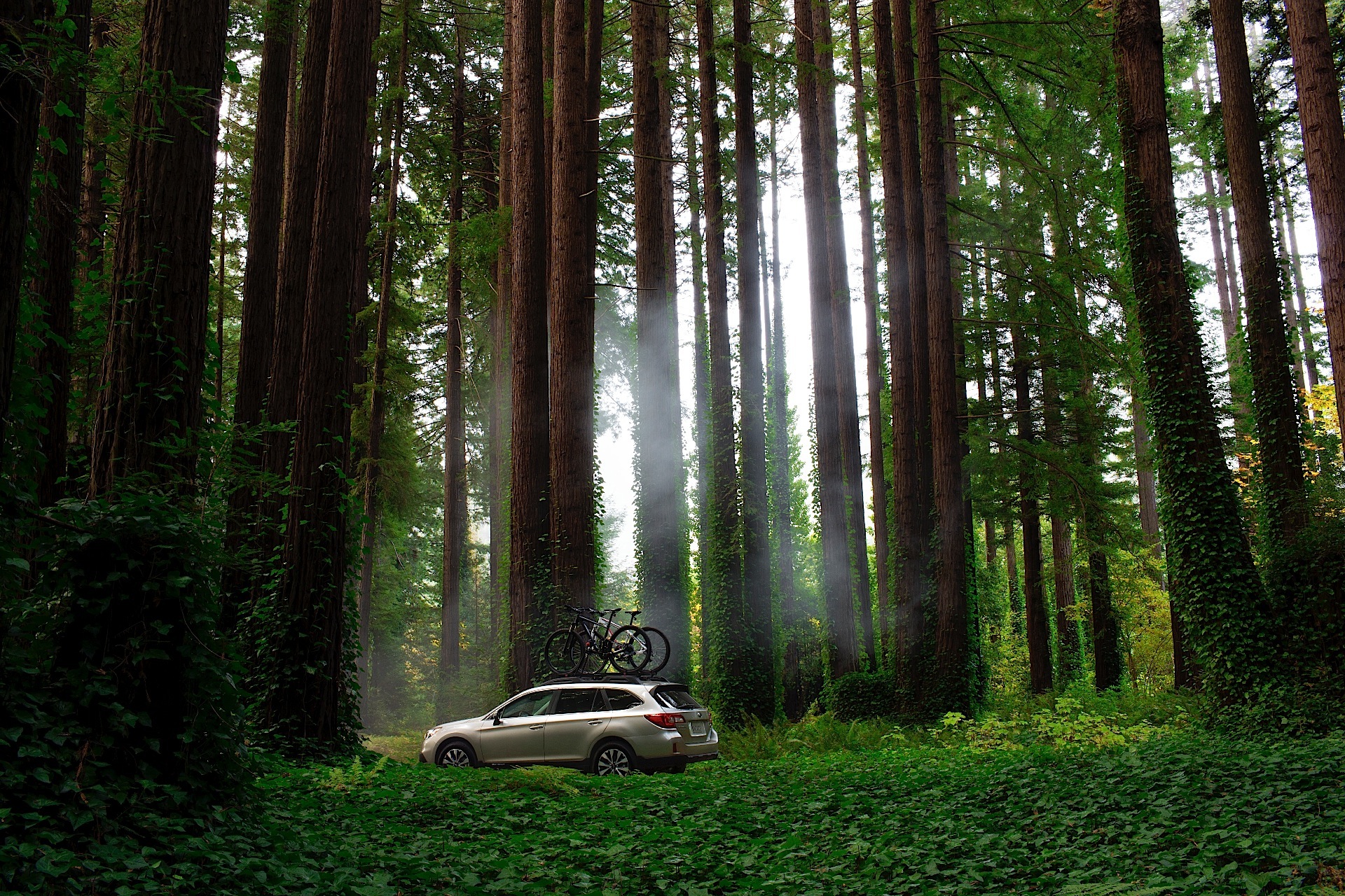 Subaru Outback photo 11