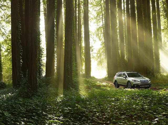 Subaru Outback photo 13