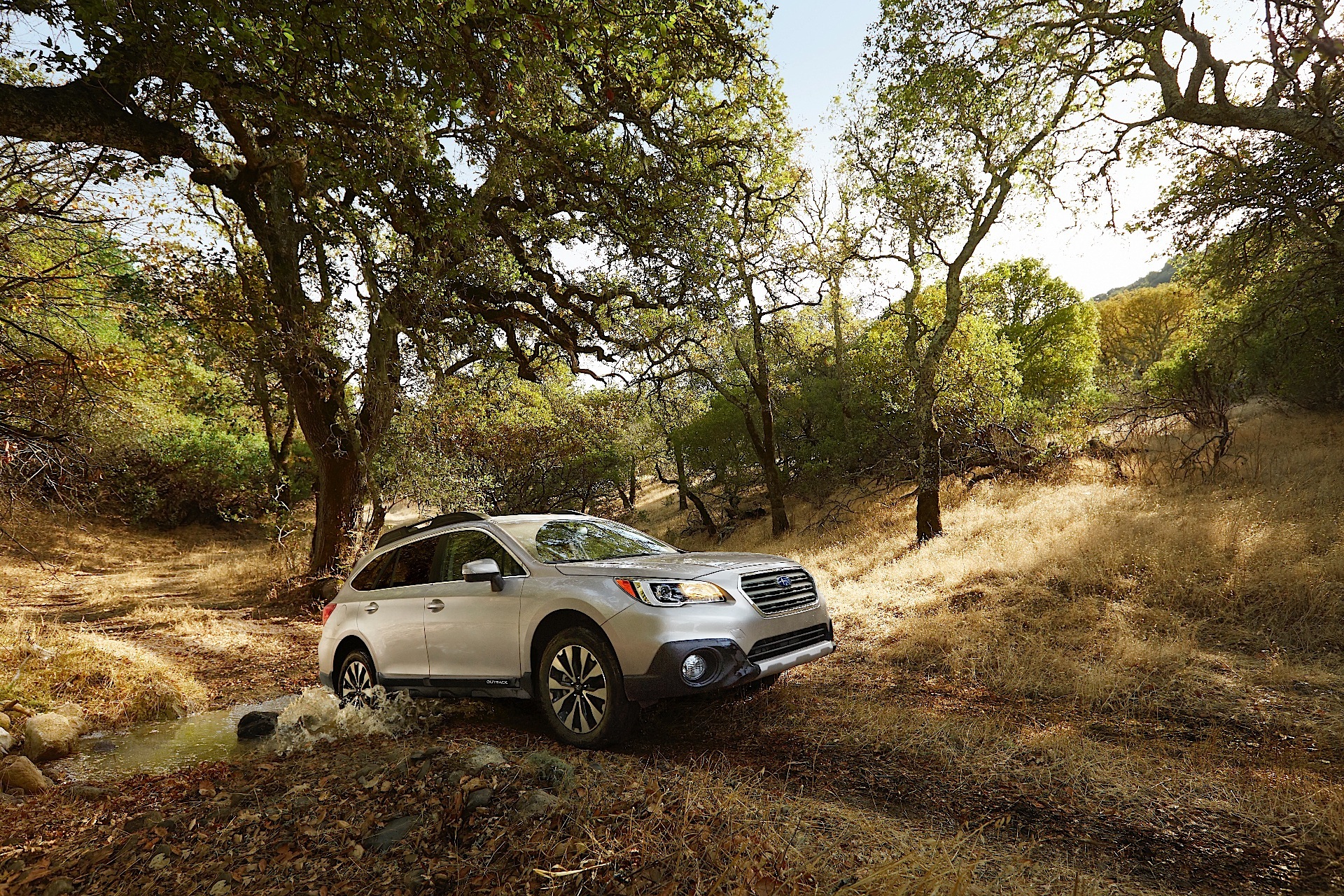 Subaru Outback photo 15