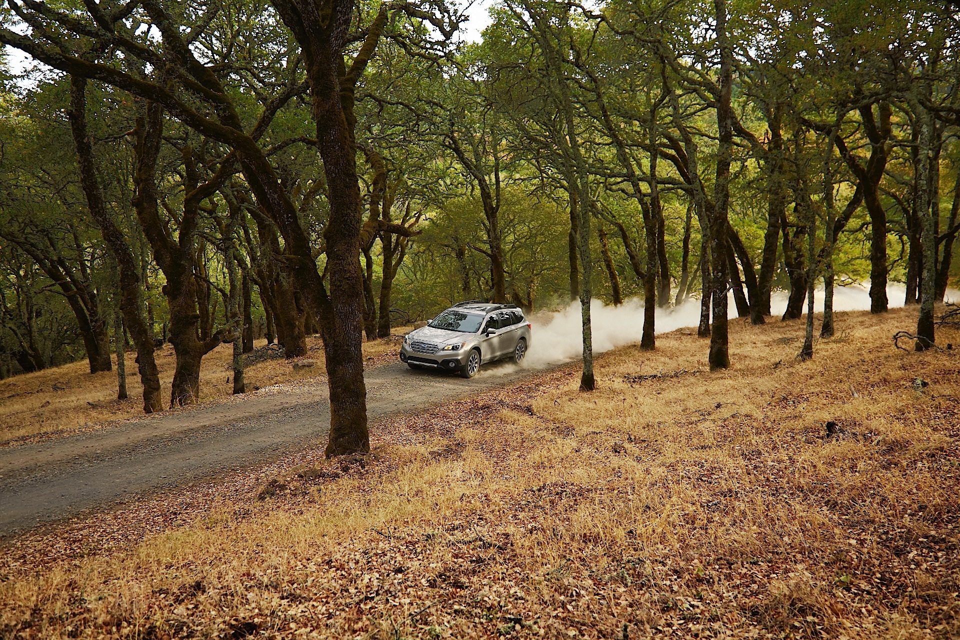 Subaru Outback photo 16