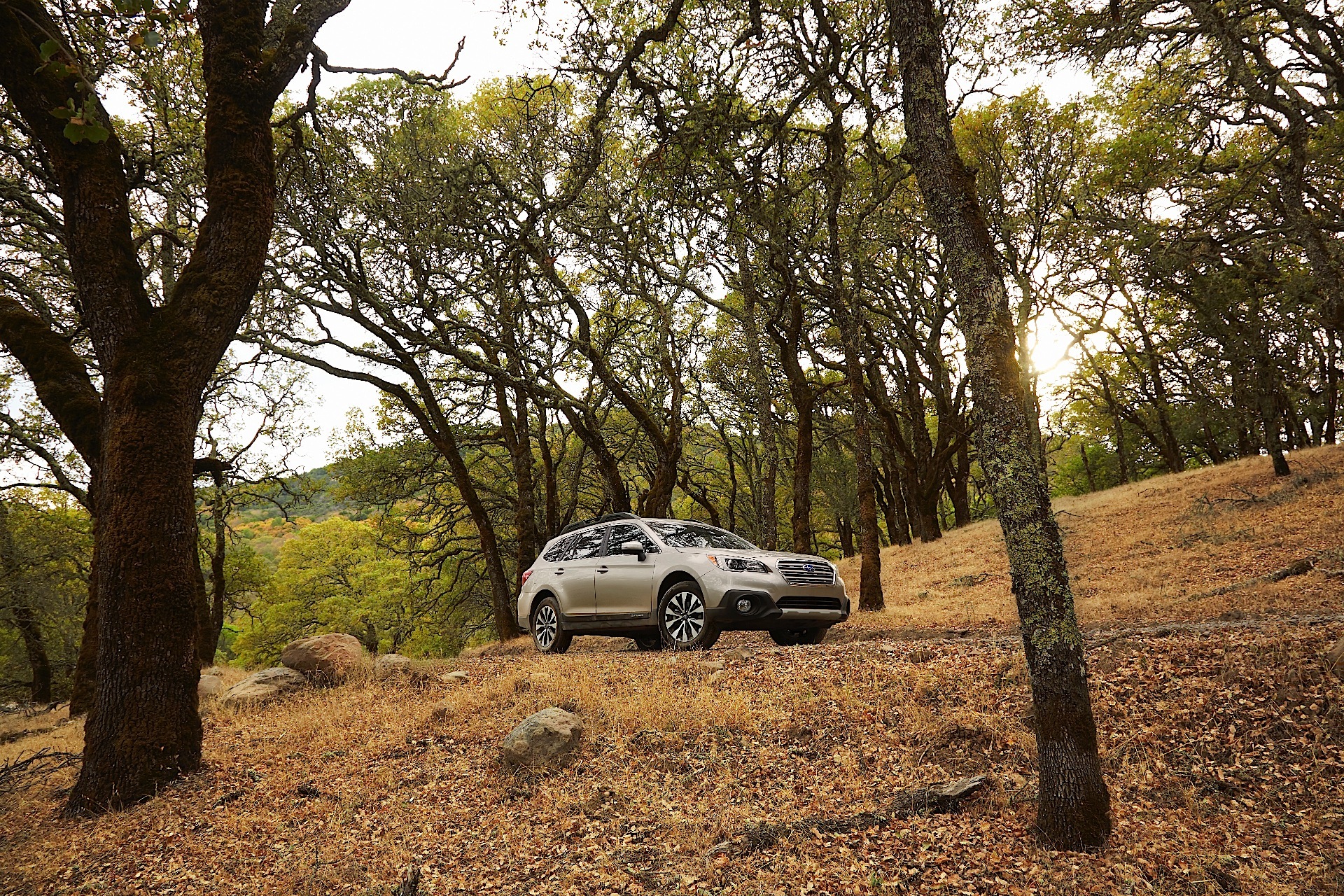 Subaru Outback photo 17