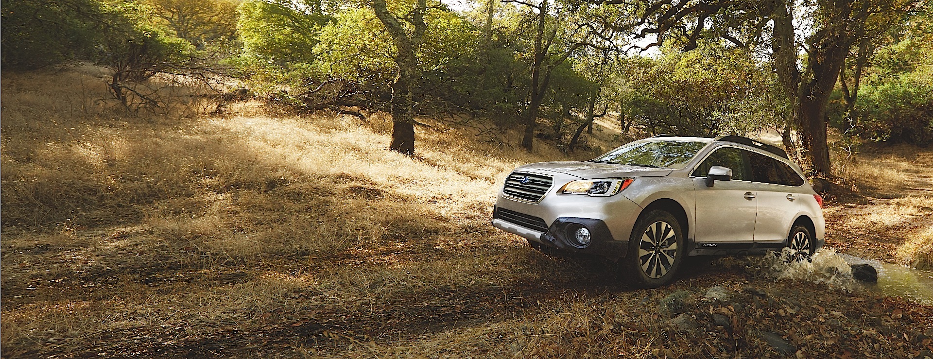 Subaru Outback photo 2
