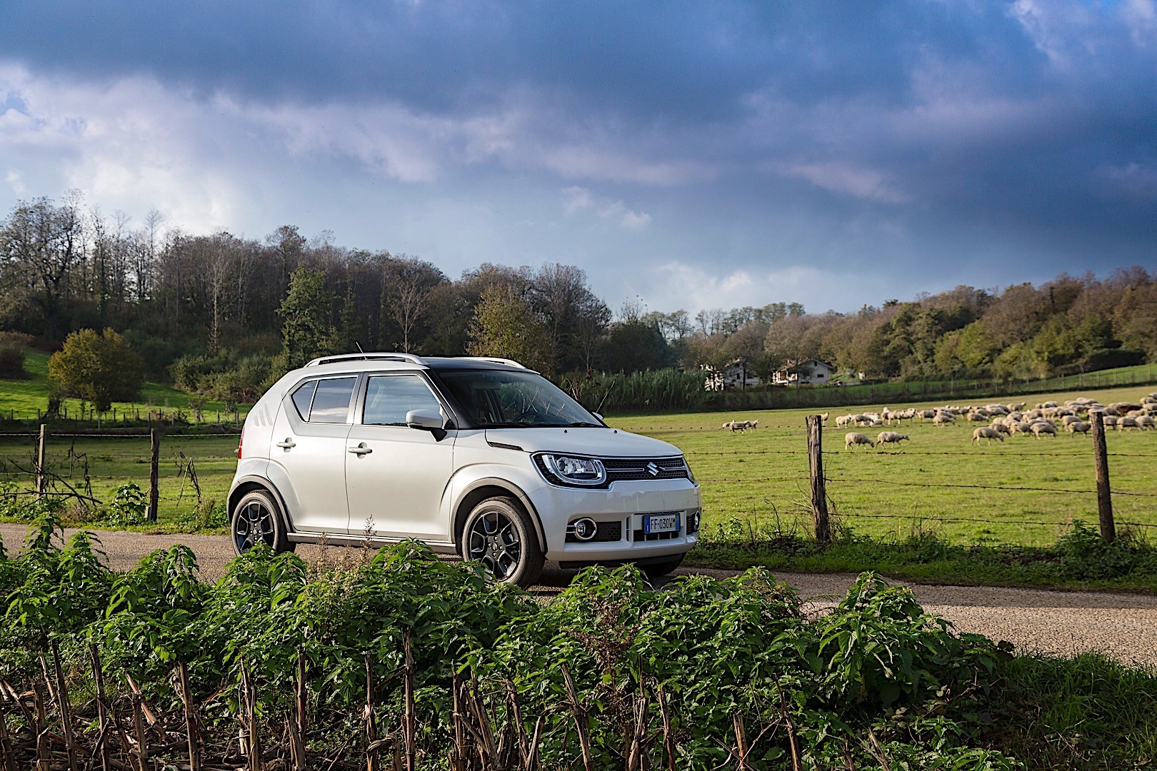Suzuki Ignis photo 22