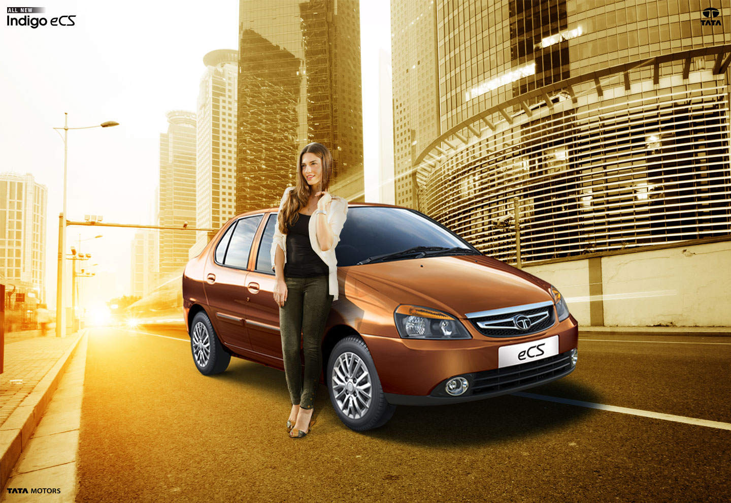 Tata Motors Indigo photo 7