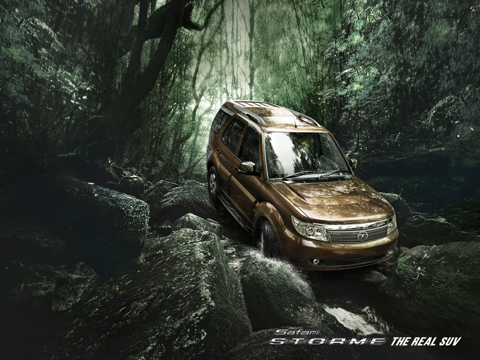Tata Motors Safari photo 2