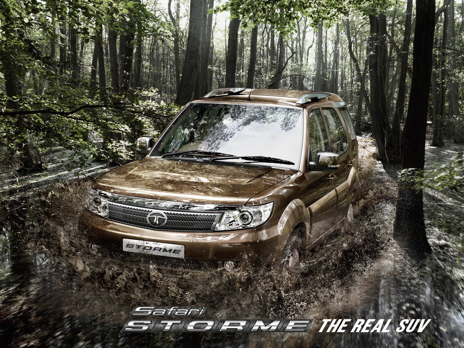 Tata Motors Safari photo 3
