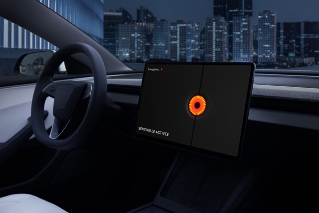 Tesla Model 3 photo 26
