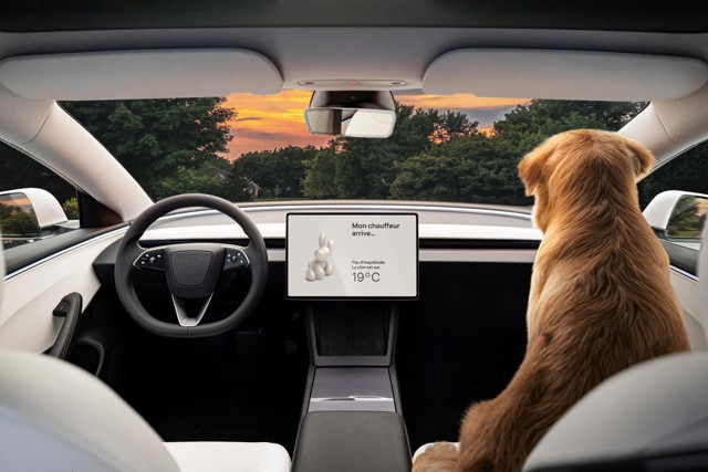 Tesla Model 3 photo 29