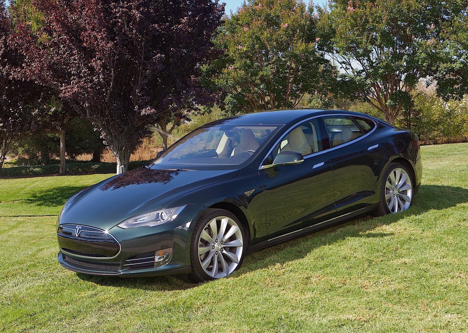 Tesla Model S photo 9