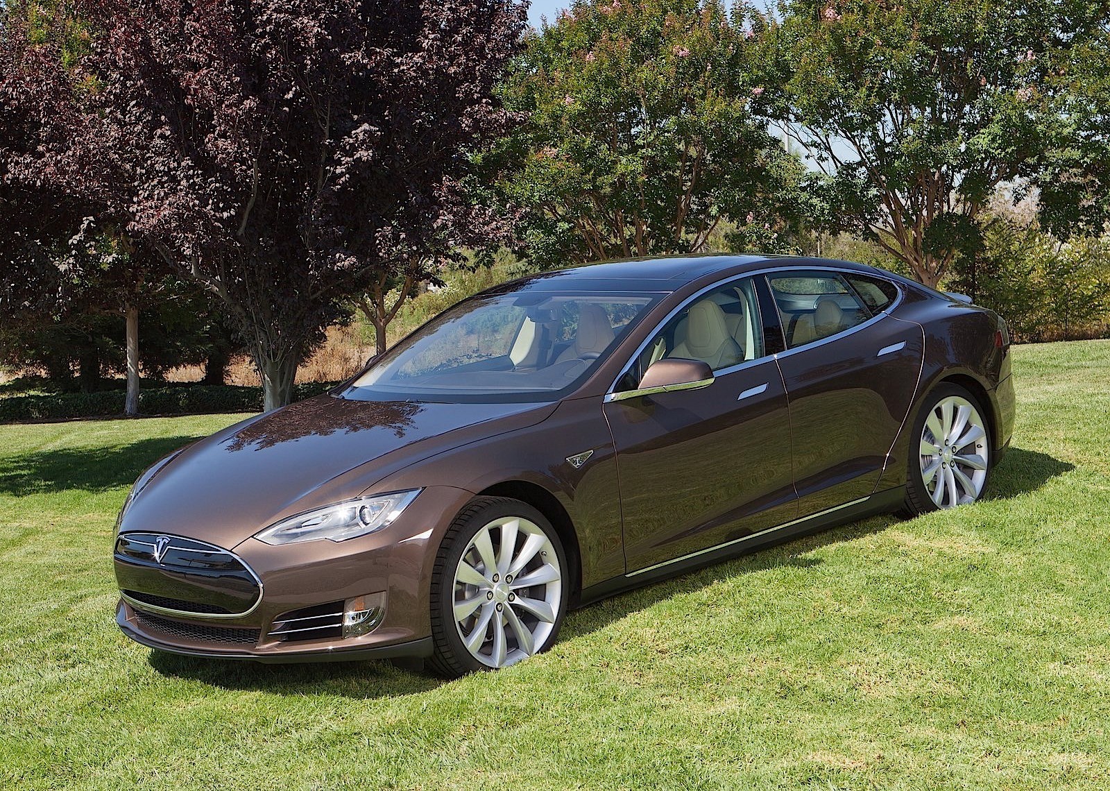 Tesla Model S photo 10