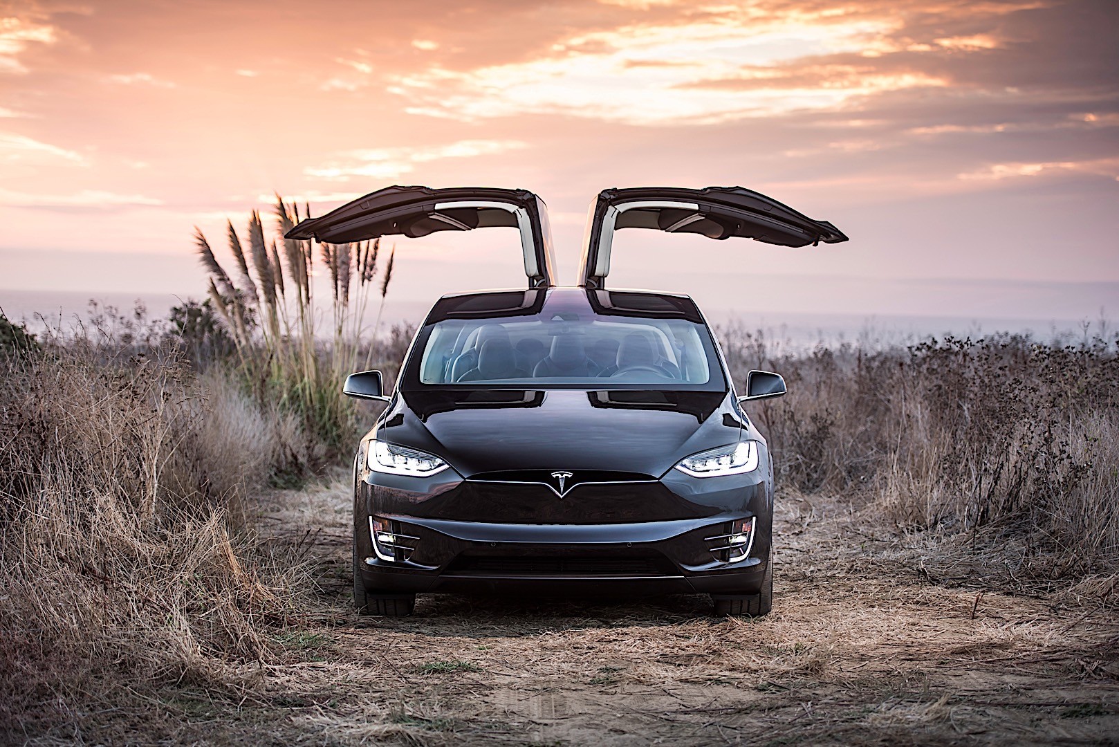 Tesla Model X photo 10