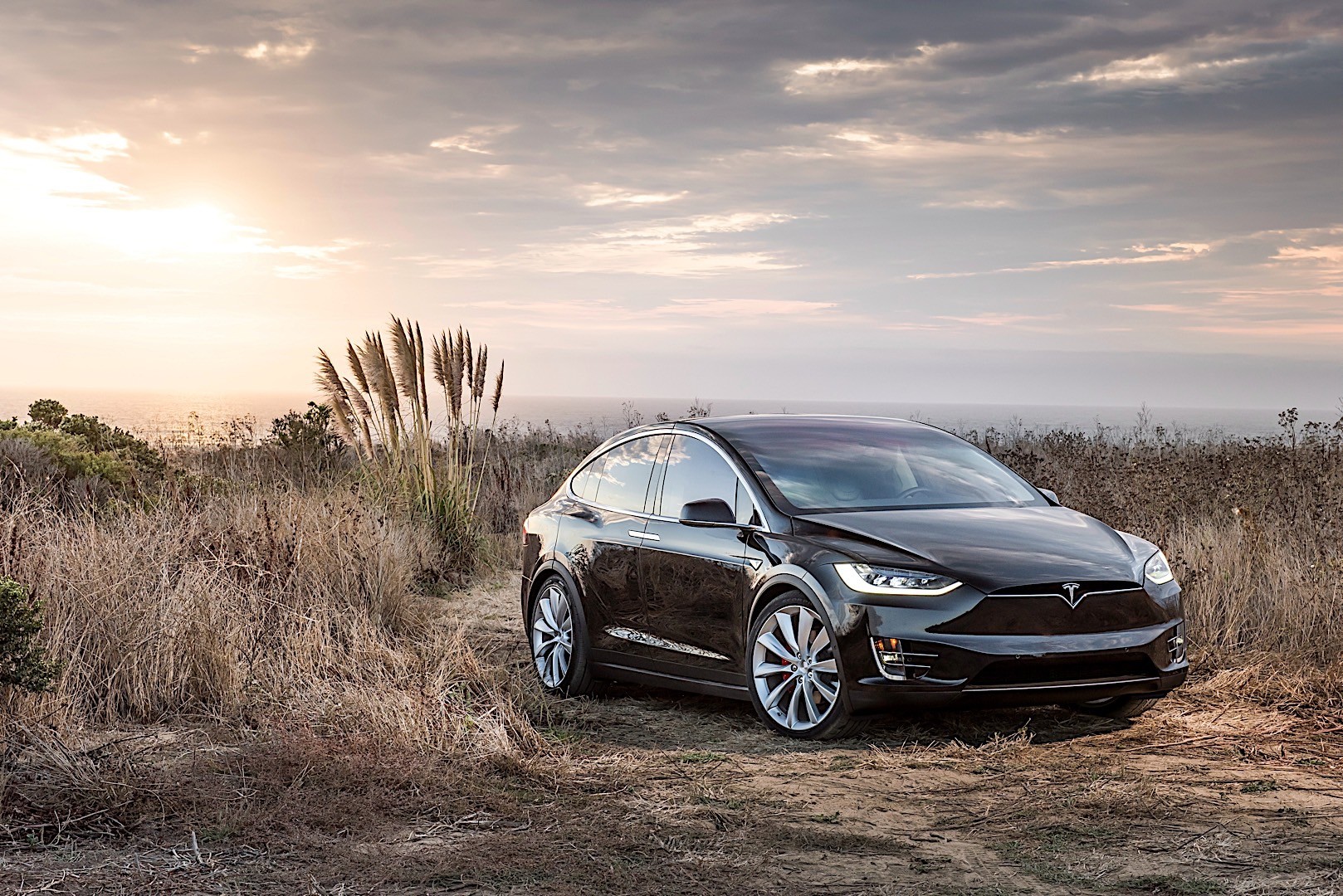 Tesla Model X photo 14