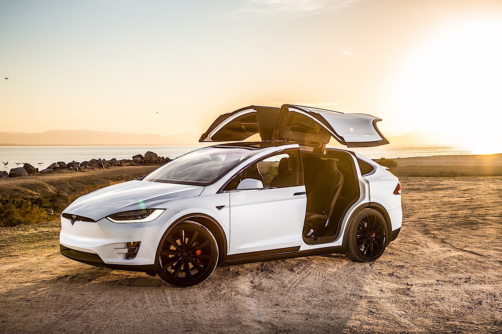 Tesla Model X photo 15