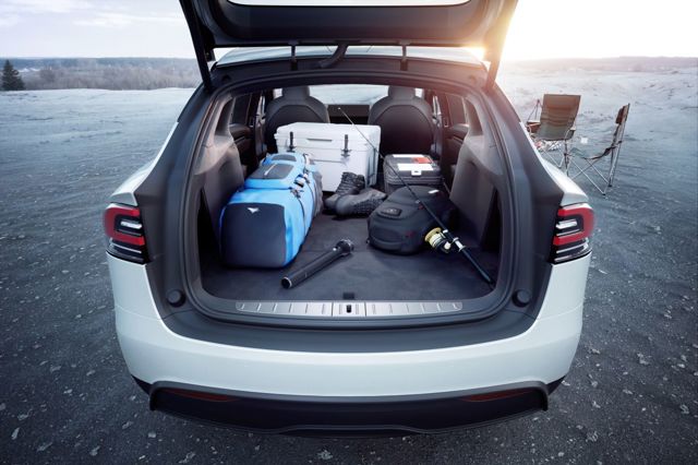 Tesla Model X photo 25