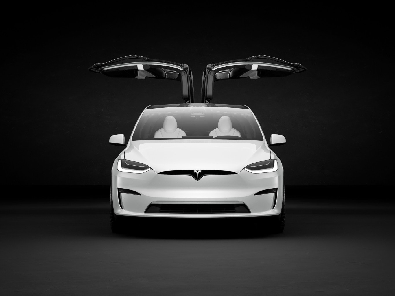 Tesla Model X photo 13