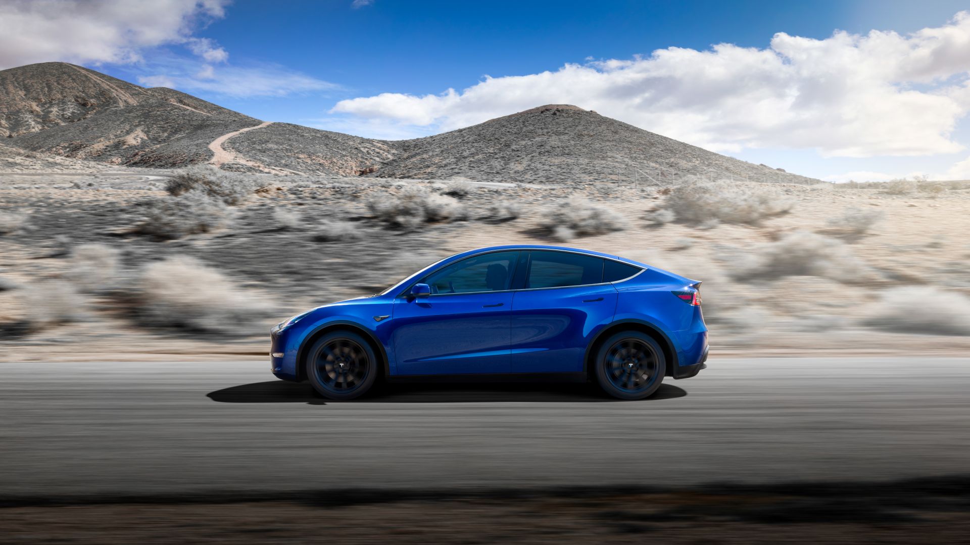 Tesla Model Y photo 3