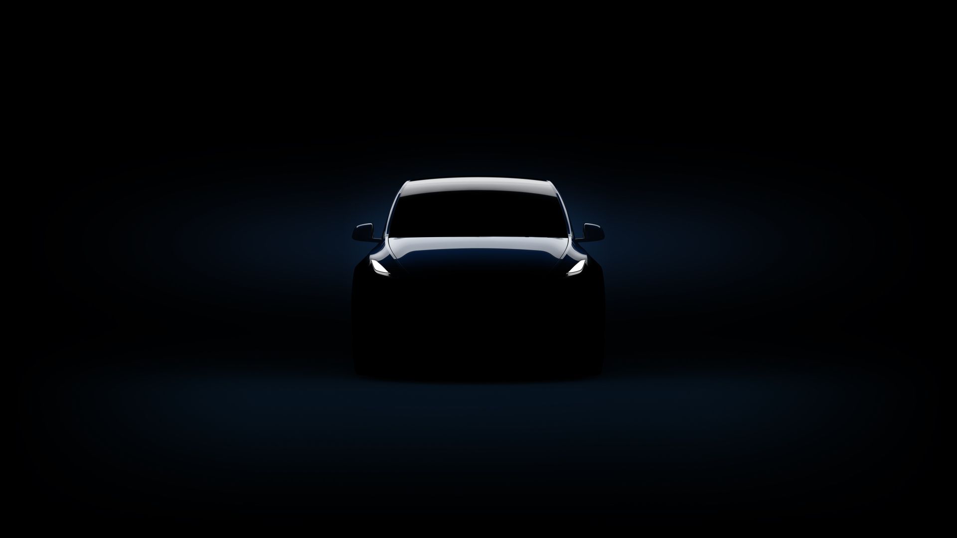 Tesla Model Y photo 4