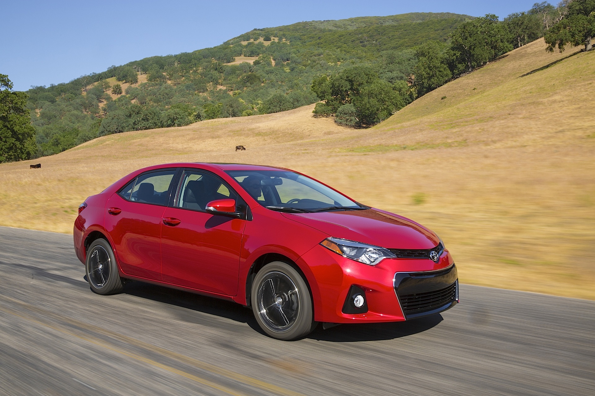 Toyota Corolla (Us) photo 12