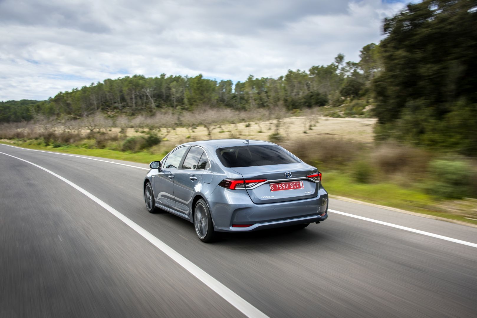 Toyota Corolla Sedan photo 15
