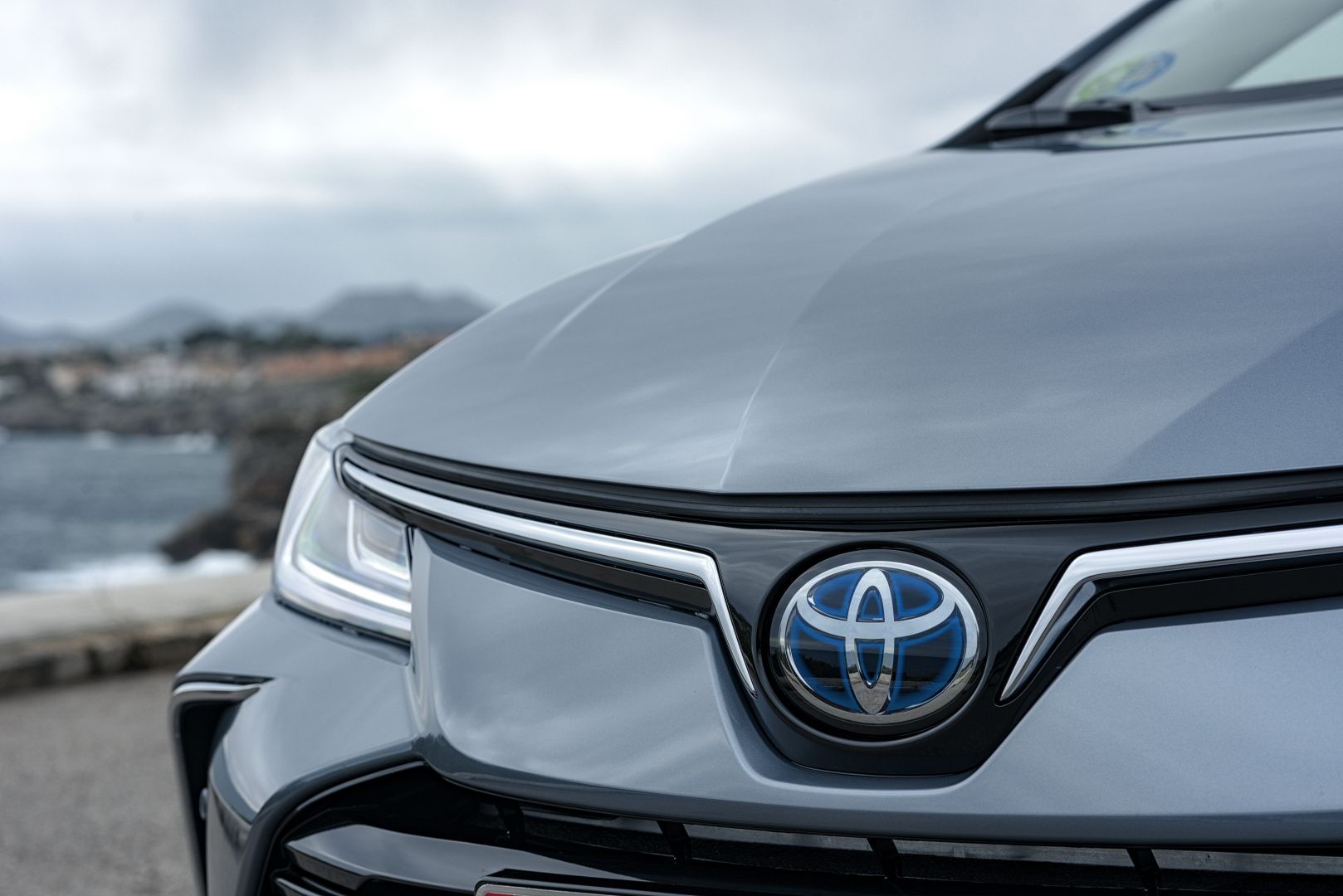 Toyota Corolla Sedan photo 35