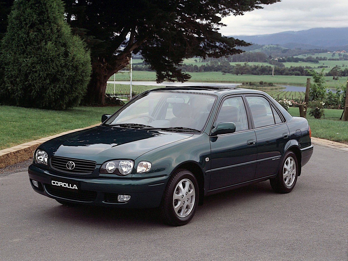 Toyota Corolla Sedan photo 7