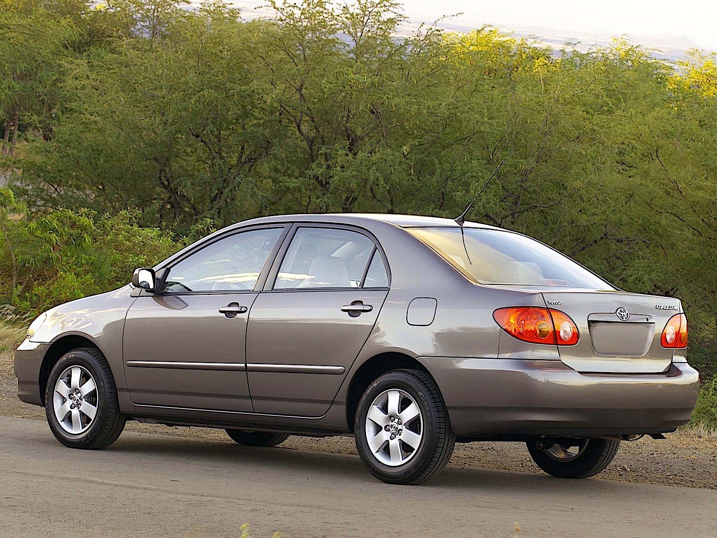 Toyota Corolla Sedan photo 15