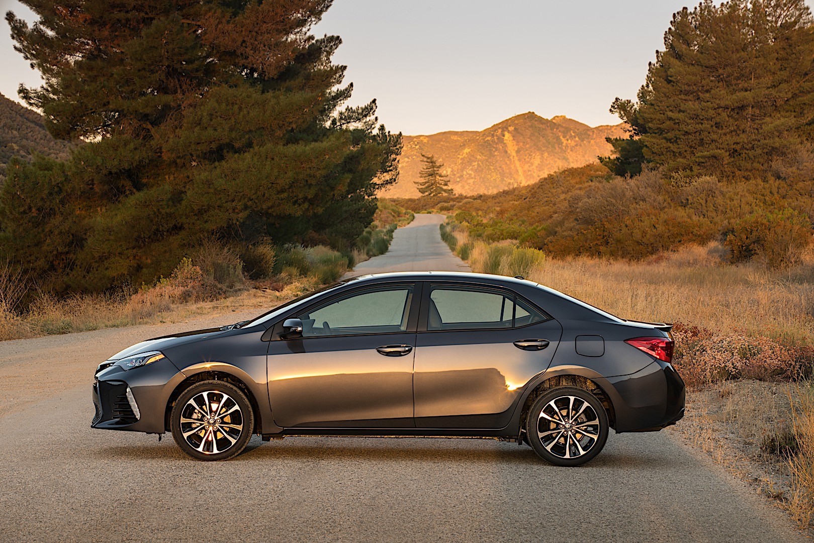 Toyota Corolla photo 6