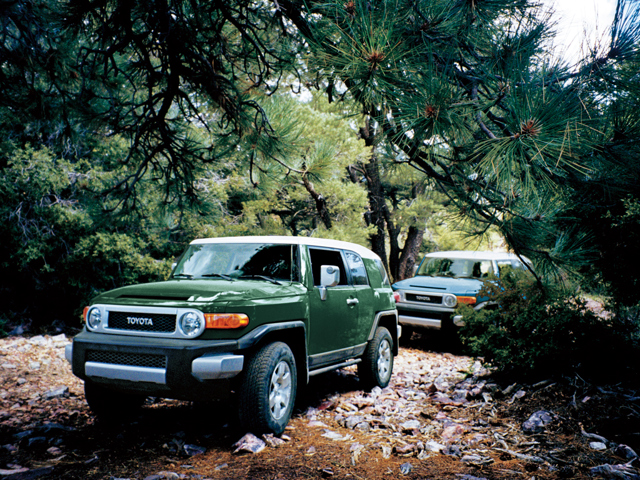 Toyota Fj Cruiser foto 31