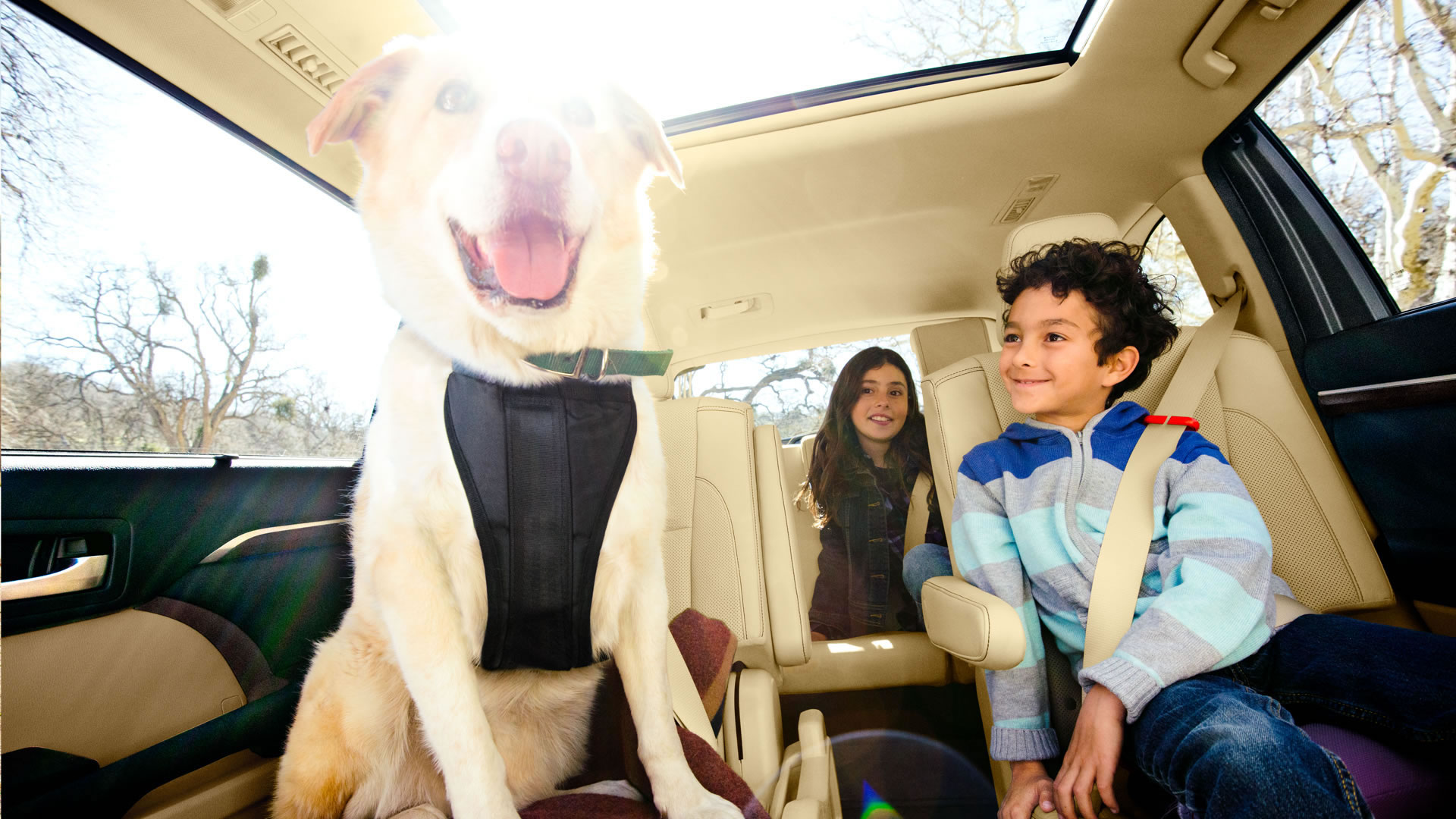 Toyota Highlander / Kluger photo 74