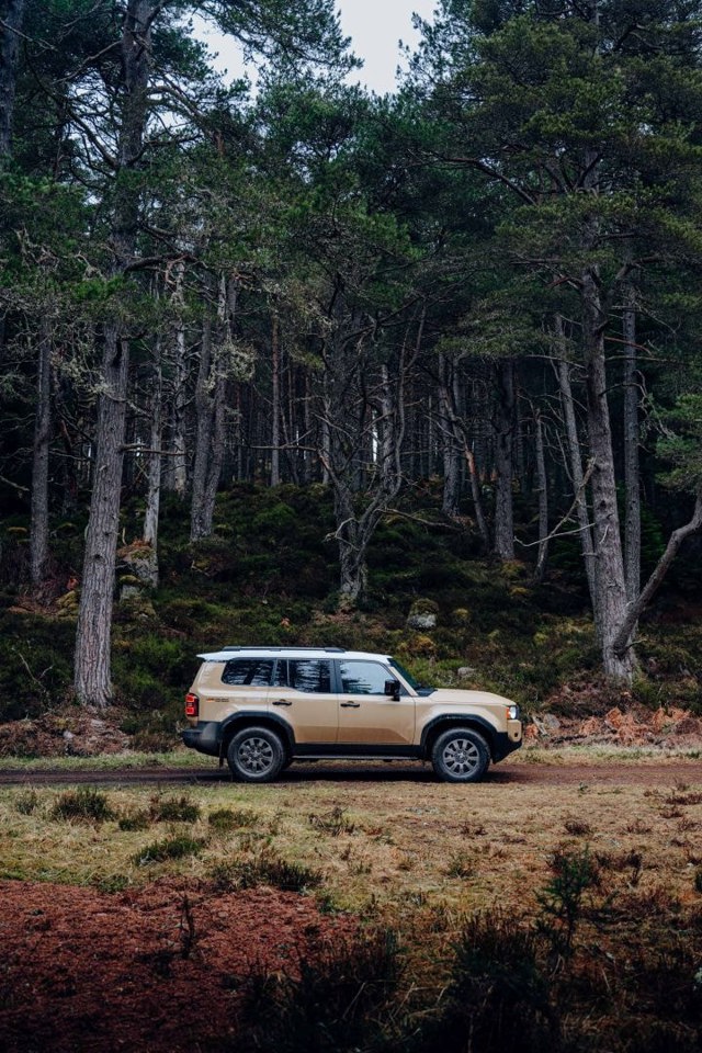 Toyota Land Cruiser / Prado photo 136