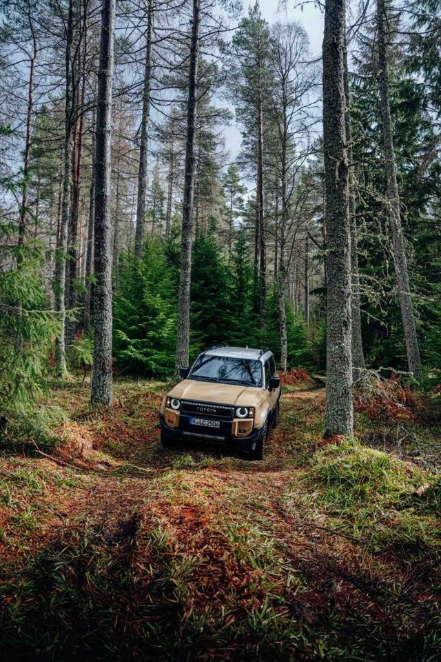 Toyota Land Cruiser / Prado photo 153