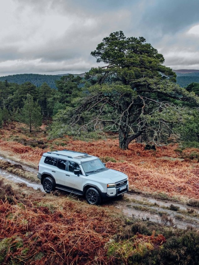 Toyota Land Cruiser / Prado photo 164
