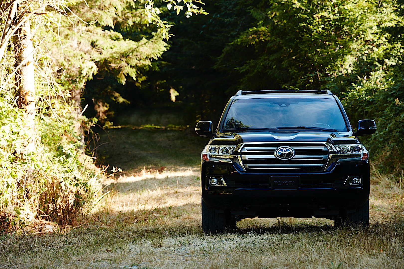 Toyota Land Cruiser V8 And Predecessors photo 10